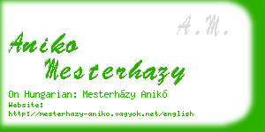 aniko mesterhazy business card